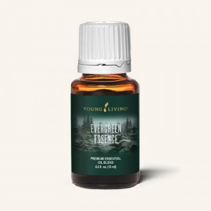 Evergreen Essence 常青精華